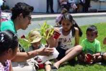 “Domingo Desarollo is an innovative program that finds ways to engage young people in activities that provide an opportunity for growth and mentorship" . . . . read more
